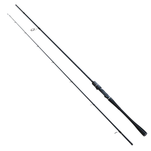 LightStream Carbon Fishing Rod with Fuji Guides, Ultra Lightweight Handle