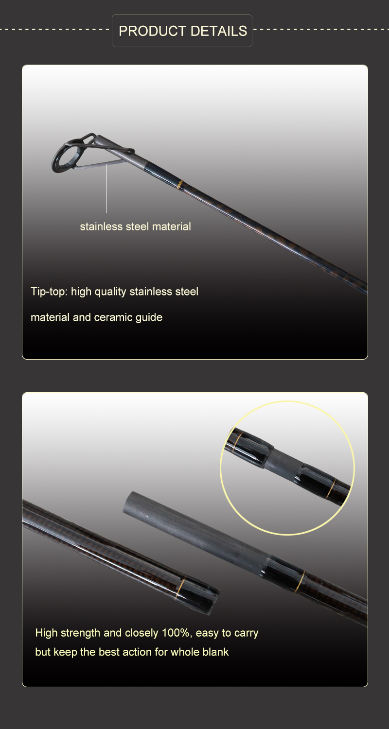 carp rod 24