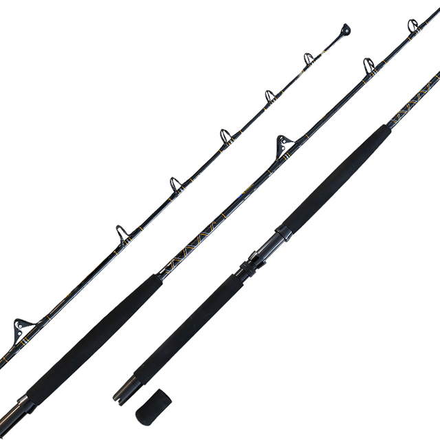 Best Trolling Rod for Catching Big Fish for Sea Fishing