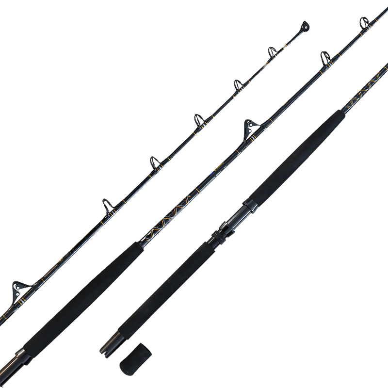 Best Trolling Rod for Catching Big Fish for Sea Fishing