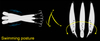 Hard fishing lure for Pike