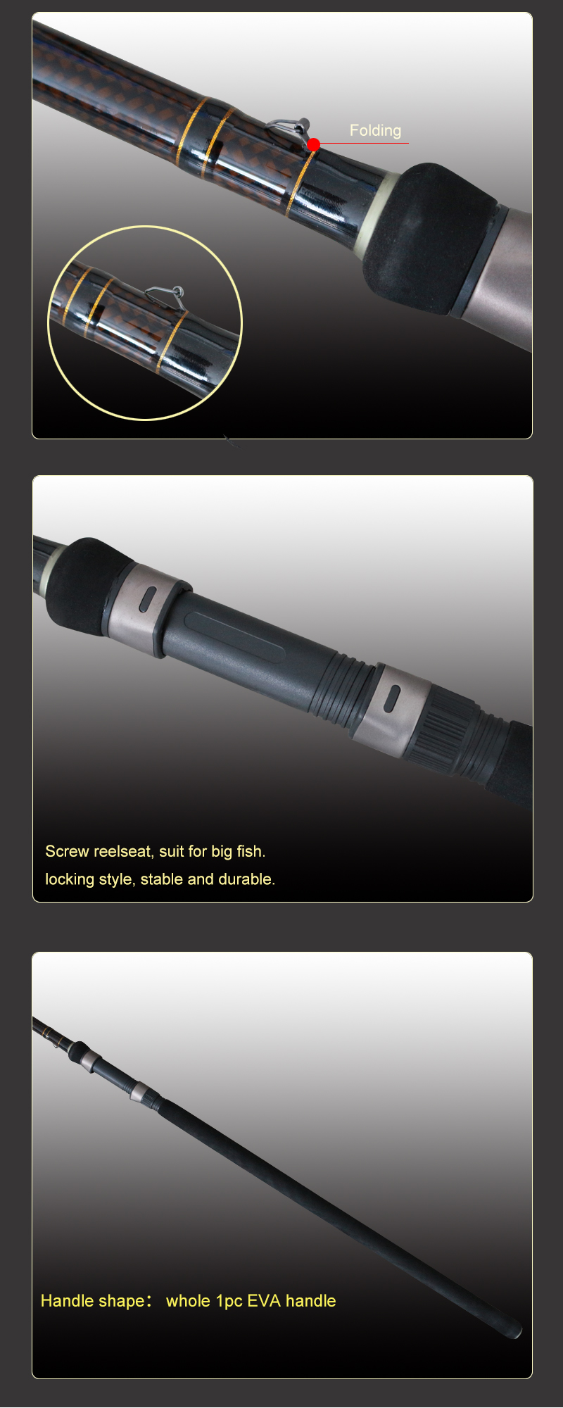carp rod 25