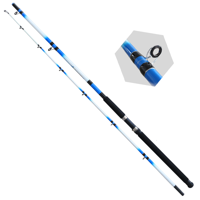 Reinforced 2-Piece Surfcasting Rod Set, Saltwater Resistant