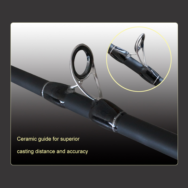 Customized fast action bass fishing rod from China