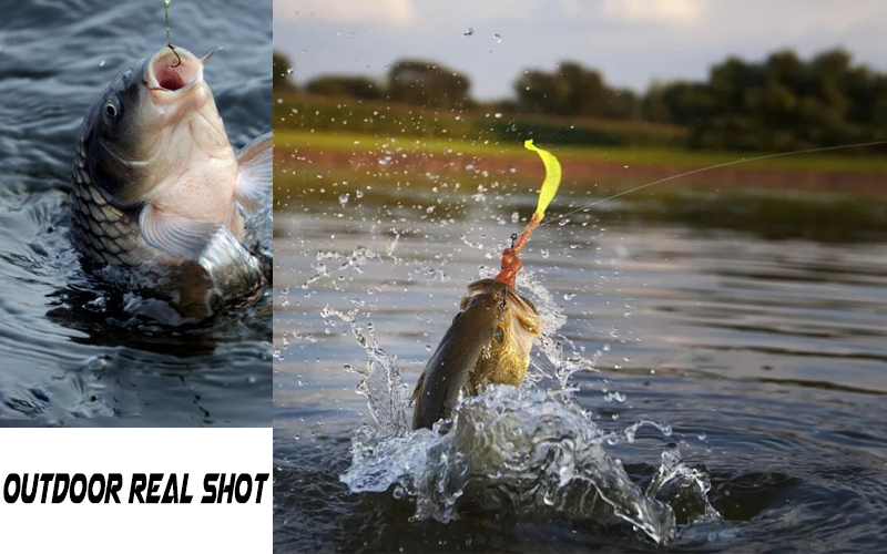 fishing combo 29