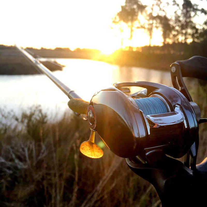 What Fishing Rod Should I Buy As A Beginner?