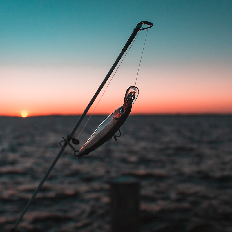 How Much Does A Nice Fishing Rod Cost?