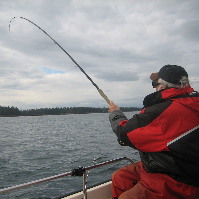How Do You Pick The Right Fishing Rod?