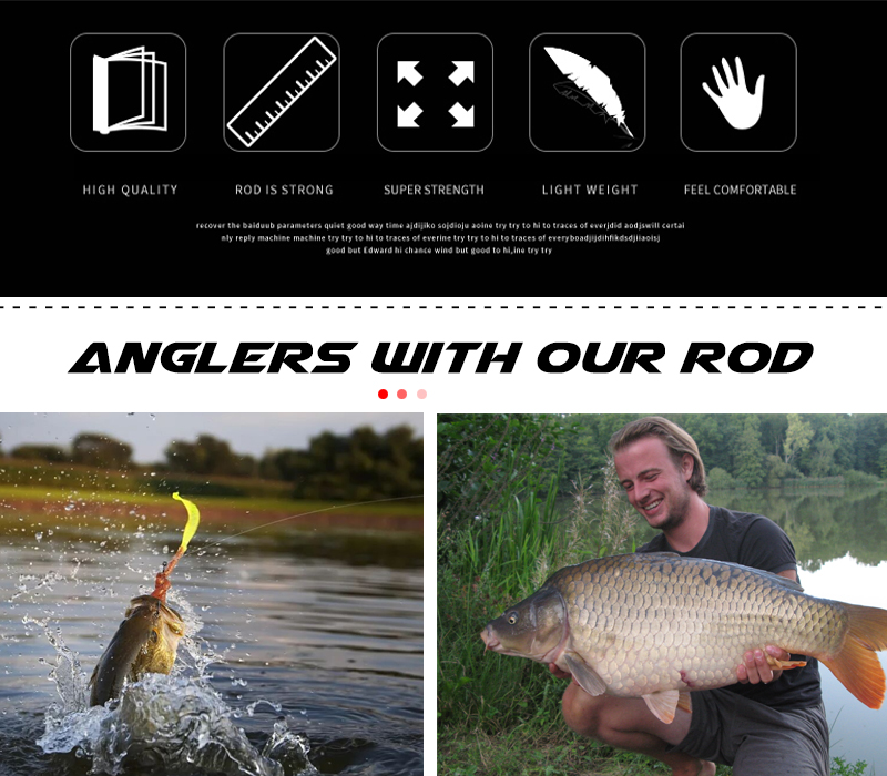 carbon carp rod 29