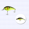 Customized terminal tackle box for bass fishing